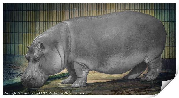 The hippo Print by Ingo Menhard