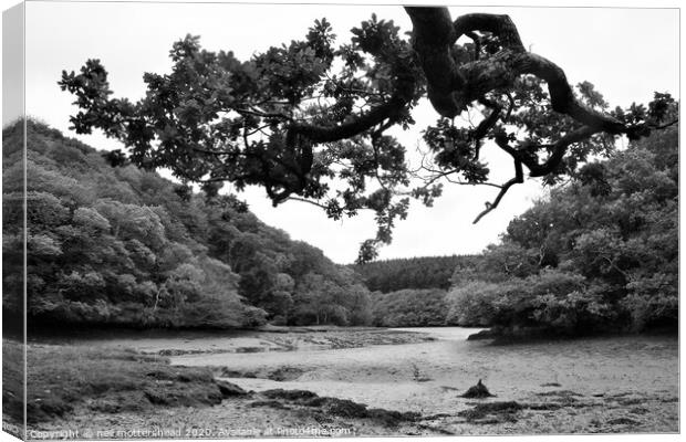 The Lerryn River At Low Tide. Canvas Print by Neil Mottershead