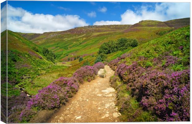 Path To Kinder Scout via Grindsbrook Canvas Print by Darren Galpin