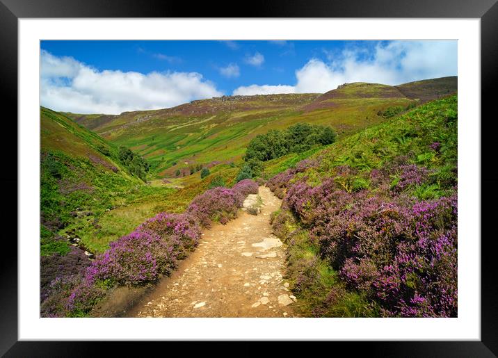 Path To Kinder Scout via Grindsbrook Framed Mounted Print by Darren Galpin