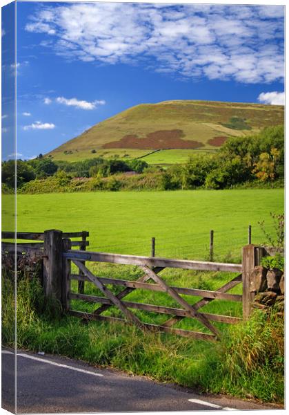 Gateway to Grindslow Knoll Canvas Print by Darren Galpin