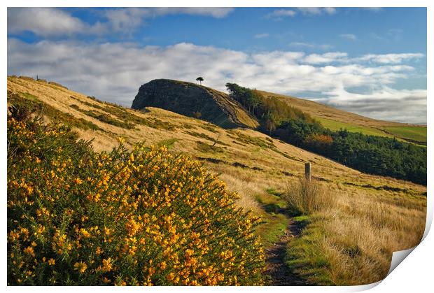 Footpath to Back Tor Print by Darren Galpin