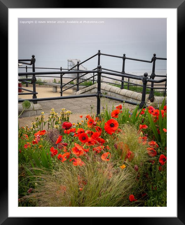 Saltburn Poppies Framed Mounted Print by Kevin Winter