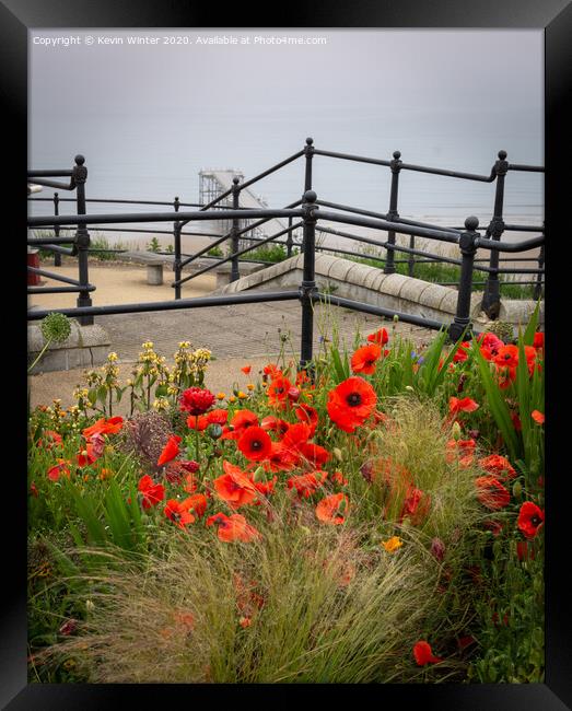 Saltburn Poppies Framed Print by Kevin Winter
