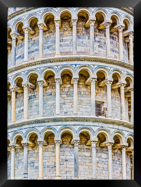 Single Door in Pisa Tower Framed Print by Darryl Brooks