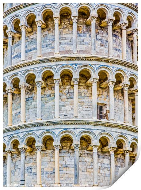 Single Door in Pisa Tower Print by Darryl Brooks