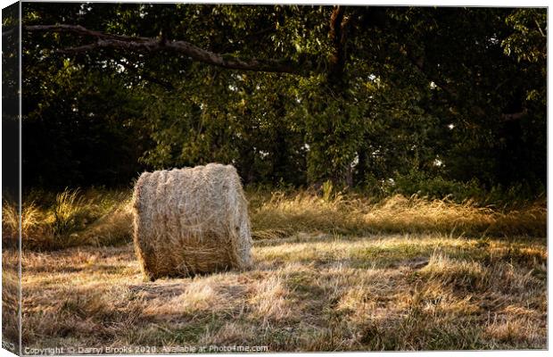 A roll of hay next to a wooded area Canvas Print by Darryl Brooks