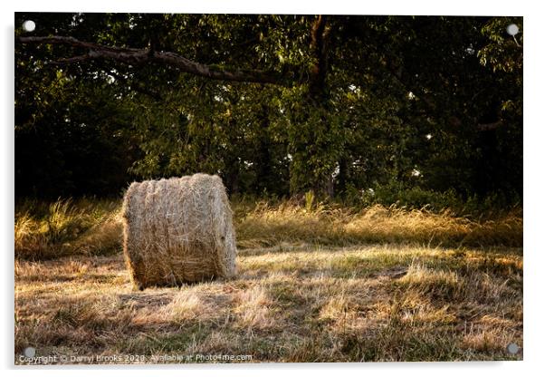 A roll of hay next to a wooded area Acrylic by Darryl Brooks