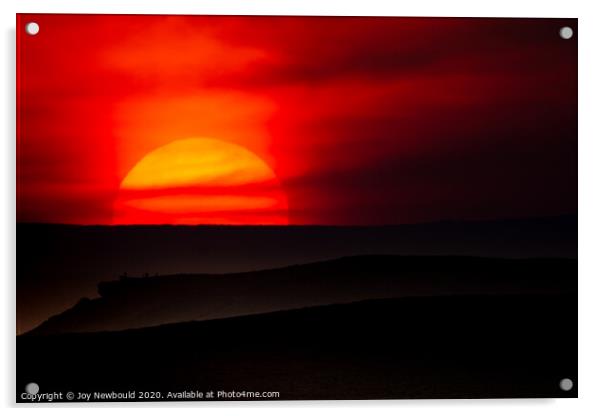 Summer Sunset Acrylic by Joy Newbould