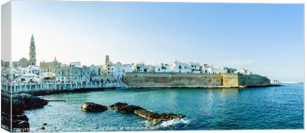 View from the port of the Adriatic city of Monopoli. Canvas Print by Joaquin Corbalan