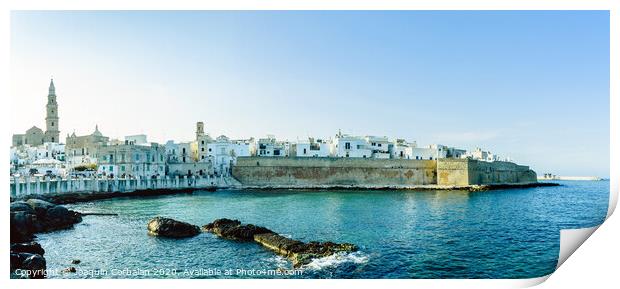 View from the port of the Adriatic city of Monopoli. Print by Joaquin Corbalan