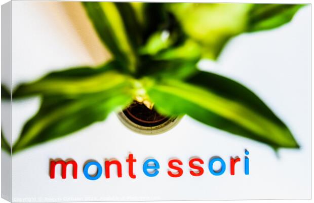 Montessori word written with colorful letters on white background. Canvas Print by Joaquin Corbalan