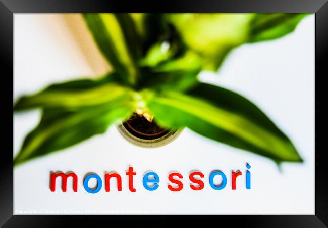 Montessori word written with colorful letters on white background. Framed Print by Joaquin Corbalan