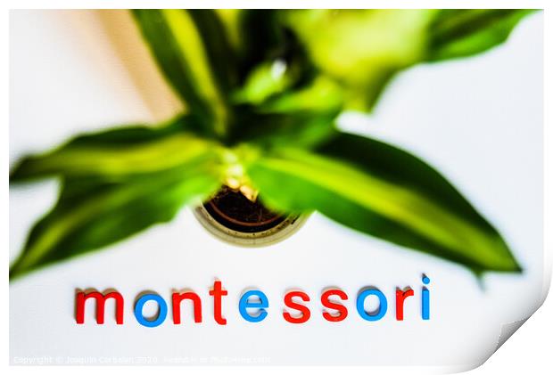 Montessori word written with colorful letters on white background. Print by Joaquin Corbalan