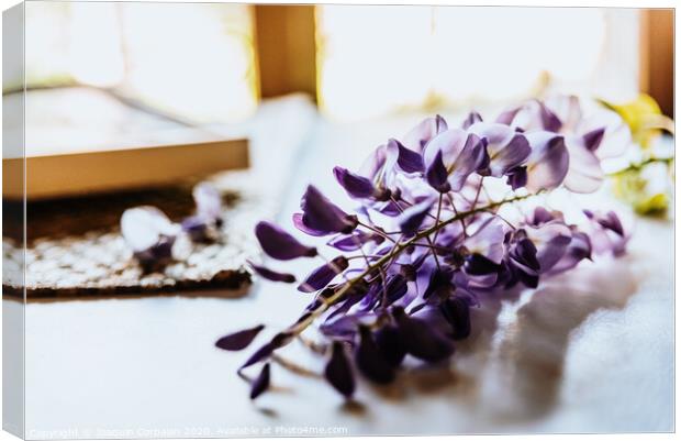 Beautiful blue and lilac spring flowers on a white table with fabrics. Canvas Print by Joaquin Corbalan