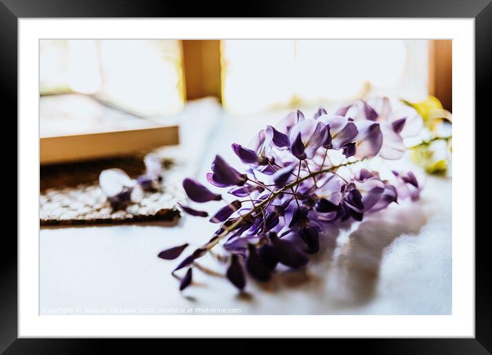 Beautiful blue and lilac spring flowers on a white table with fabrics. Framed Mounted Print by Joaquin Corbalan