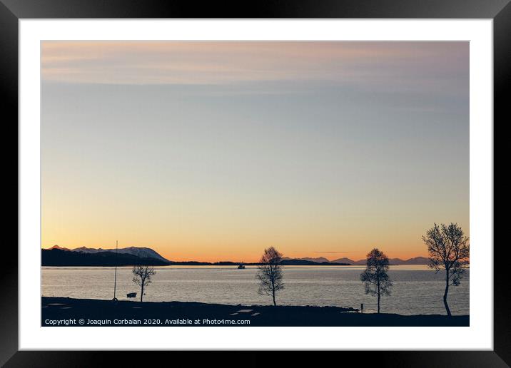 Sunset on the lake with trees Framed Mounted Print by Joaquin Corbalan