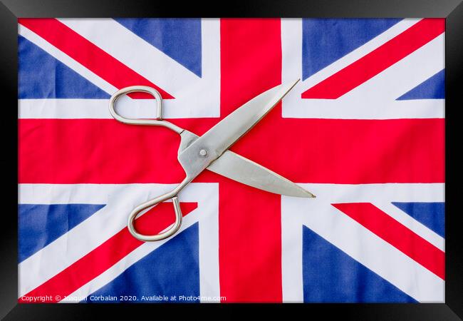 A woman cuts with scissors the British flag in protest. Framed Print by Joaquin Corbalan