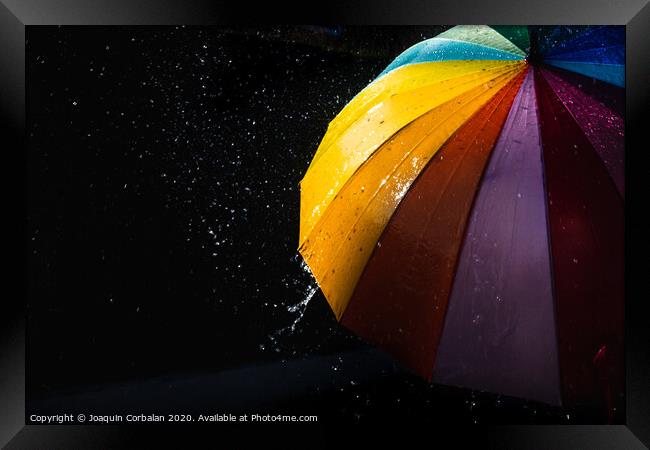 Rain on a warm-toned umbrella lit by the sun, isolated on black background with copy space. Framed Print by Joaquin Corbalan