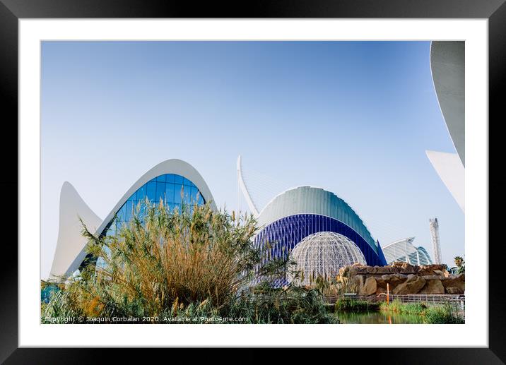 Exterior view of the oceanografic aquarium with the city in the background. Framed Mounted Print by Joaquin Corbalan