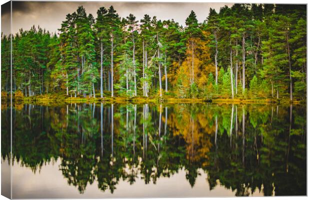 Forrest and a Loch Canvas Print by Duncan Loraine
