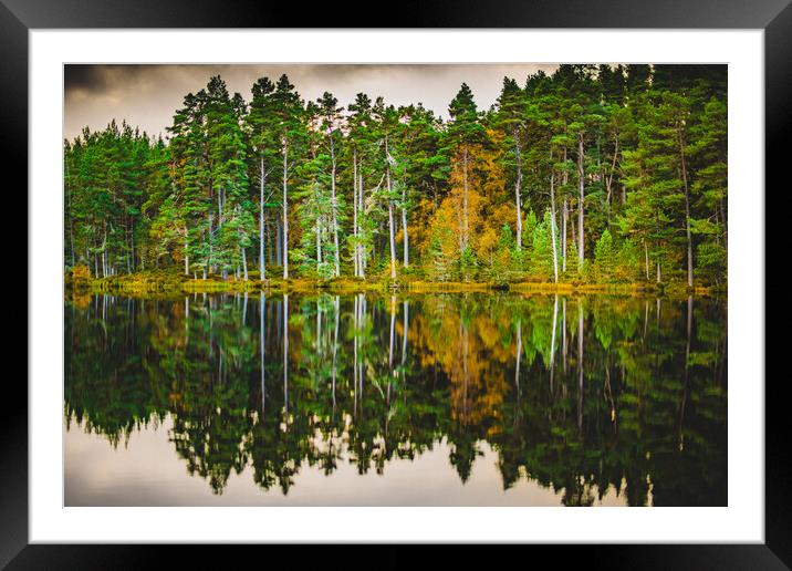 Forrest and a Loch Framed Mounted Print by Duncan Loraine