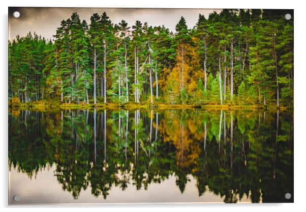 Forrest and a Loch Acrylic by Duncan Loraine
