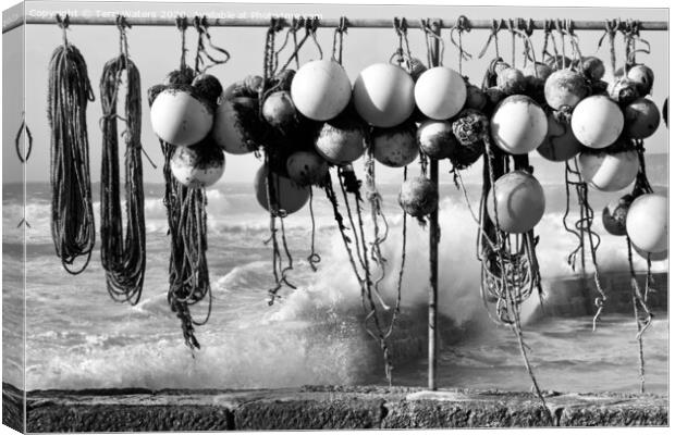 Fishing Buoys in Black and White Canvas Print by Terri Waters