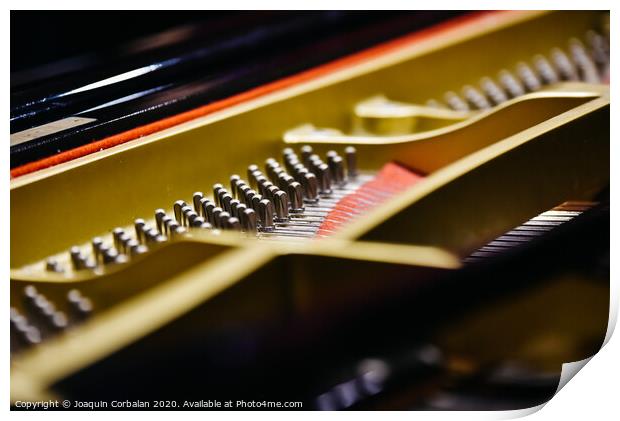 Detail of the interior of a piano with the soundboard, strings and pins. Print by Joaquin Corbalan