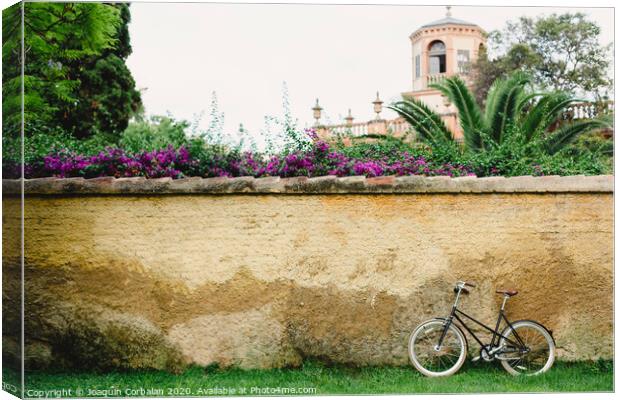 Wall or concrete wall outdoors with plants around and old bike supported and free space to place text in an empty frame Canvas Print by Joaquin Corbalan