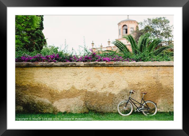 Wall or concrete wall outdoors with plants around and old bike supported and free space to place text in an empty frame Framed Mounted Print by Joaquin Corbalan