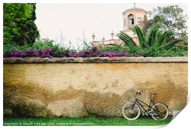 Wall or concrete wall outdoors with plants around and old bike supported and free space to place text in an empty frame Print by Joaquin Corbalan
