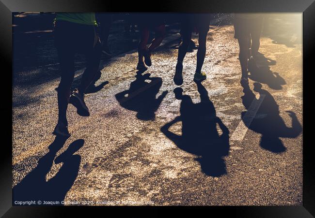 Muscled legs of a group of several runners training running on asphalt Framed Print by Joaquin Corbalan