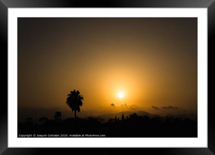 Silhouette of a desert landscape with a palm tree against the sun at sunset, dark orange background. Framed Mounted Print by Joaquin Corbalan