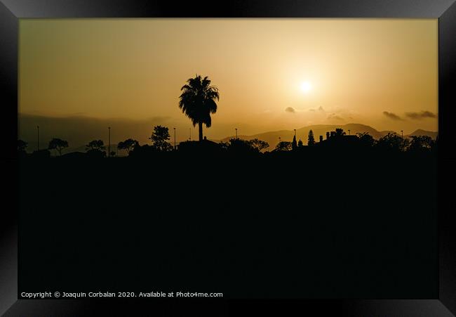 Silhouette of a city landscape deserting with a palm tree against the sun at sunset on a dark background, concept of global climate warming. Framed Print by Joaquin Corbalan