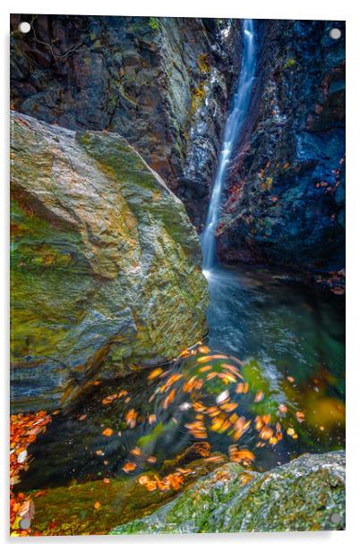 Beautiful veil waterfalls, mossy rocks, rotating leaves Acrylic by Arpad Radoczy