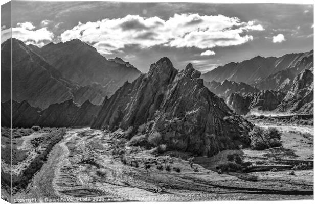 Arid Landscape Brava Lagoon Reserve La Rioja, Arge Canvas Print by Daniel Ferreira-Leite