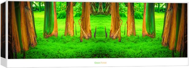 Green Forest Canvas Print by Ingo Menhard