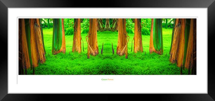 Green Forest Framed Mounted Print by Ingo Menhard