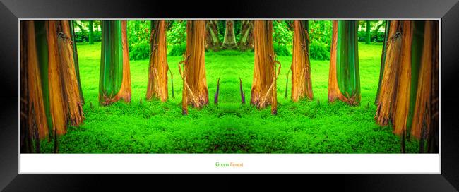 Green Forest Framed Print by Ingo Menhard