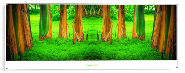 Green Forest Acrylic by Ingo Menhard