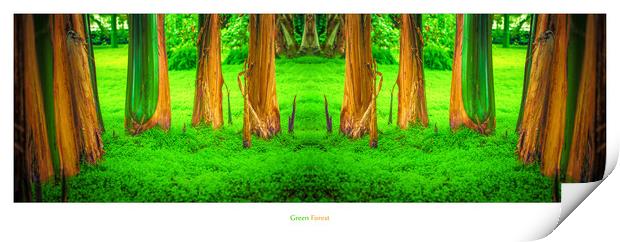 Green Forest Print by Ingo Menhard