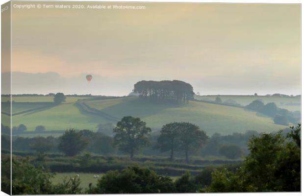 Balloonist in the Mist Canvas Print by Terri Waters
