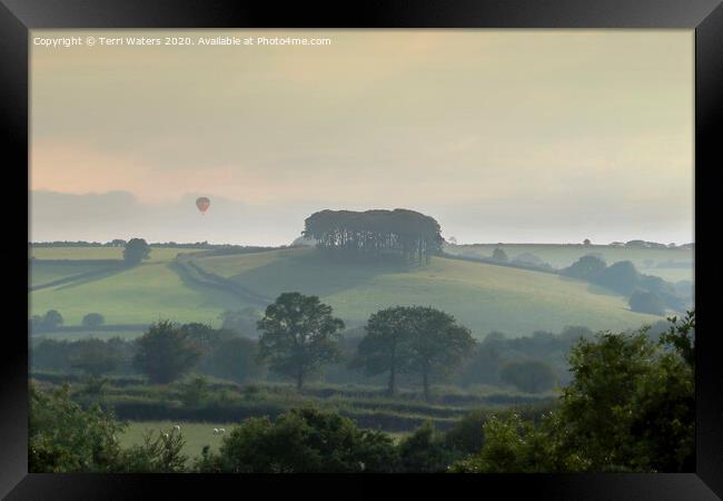 Balloonist in the Mist Framed Print by Terri Waters