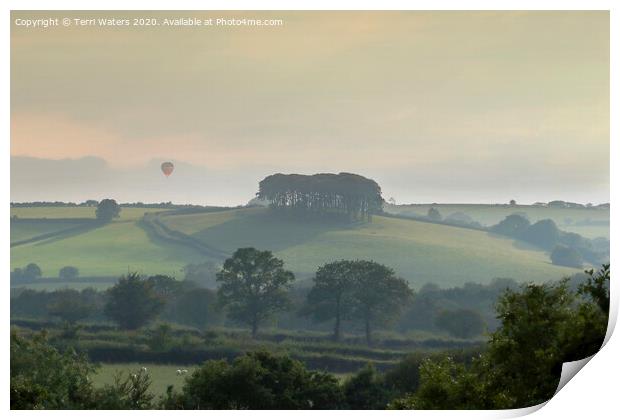 Balloonist in the Mist Print by Terri Waters