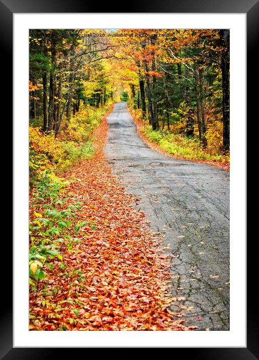 White Mountains backroad. Framed Mounted Print by David Birchall