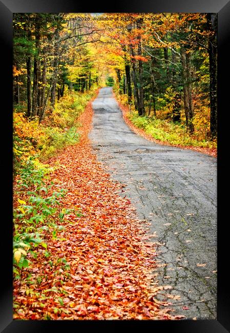 White Mountains backroad. Framed Print by David Birchall