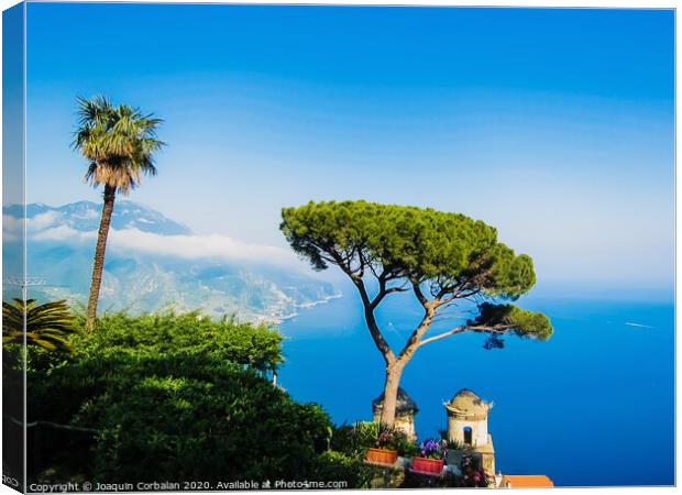 View of the coast of Naples from the top of the cliffs. Canvas Print by Joaquin Corbalan