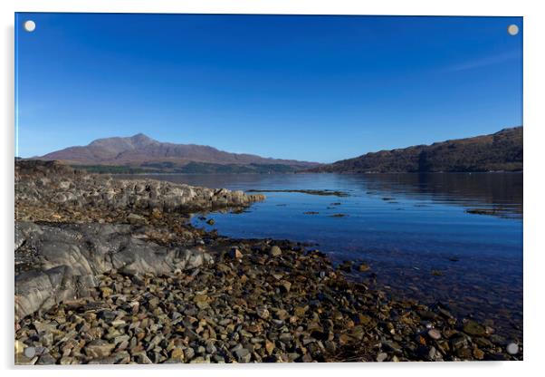 Ben Risipol and Loch Sunart Scotland Acrylic by Derek Beattie