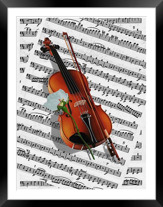 If music be the food of Love.. Framed Mounted Print by Susie Hawkins